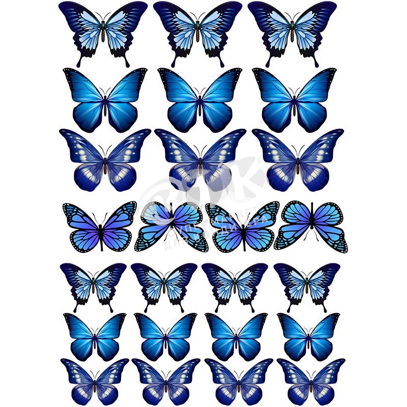 5 правил выбора мужской бабочки